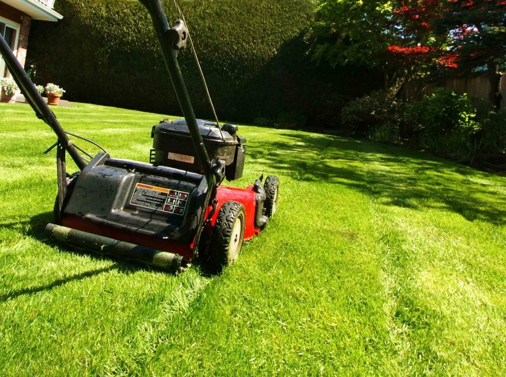 Lawn Care